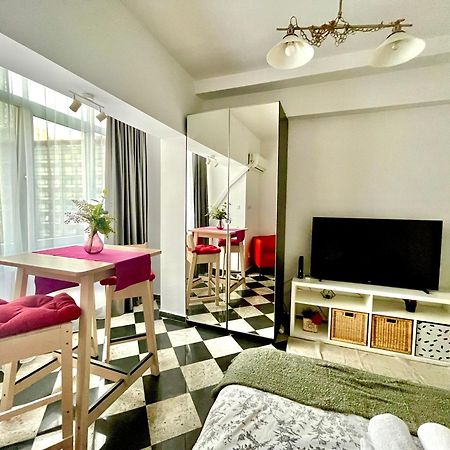 Victoriei Spacious Studio Бухарест Екстер'єр фото