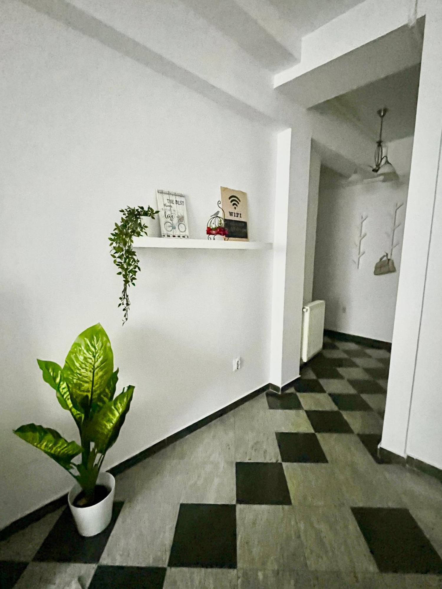 Victoriei Spacious Studio Бухарест Екстер'єр фото