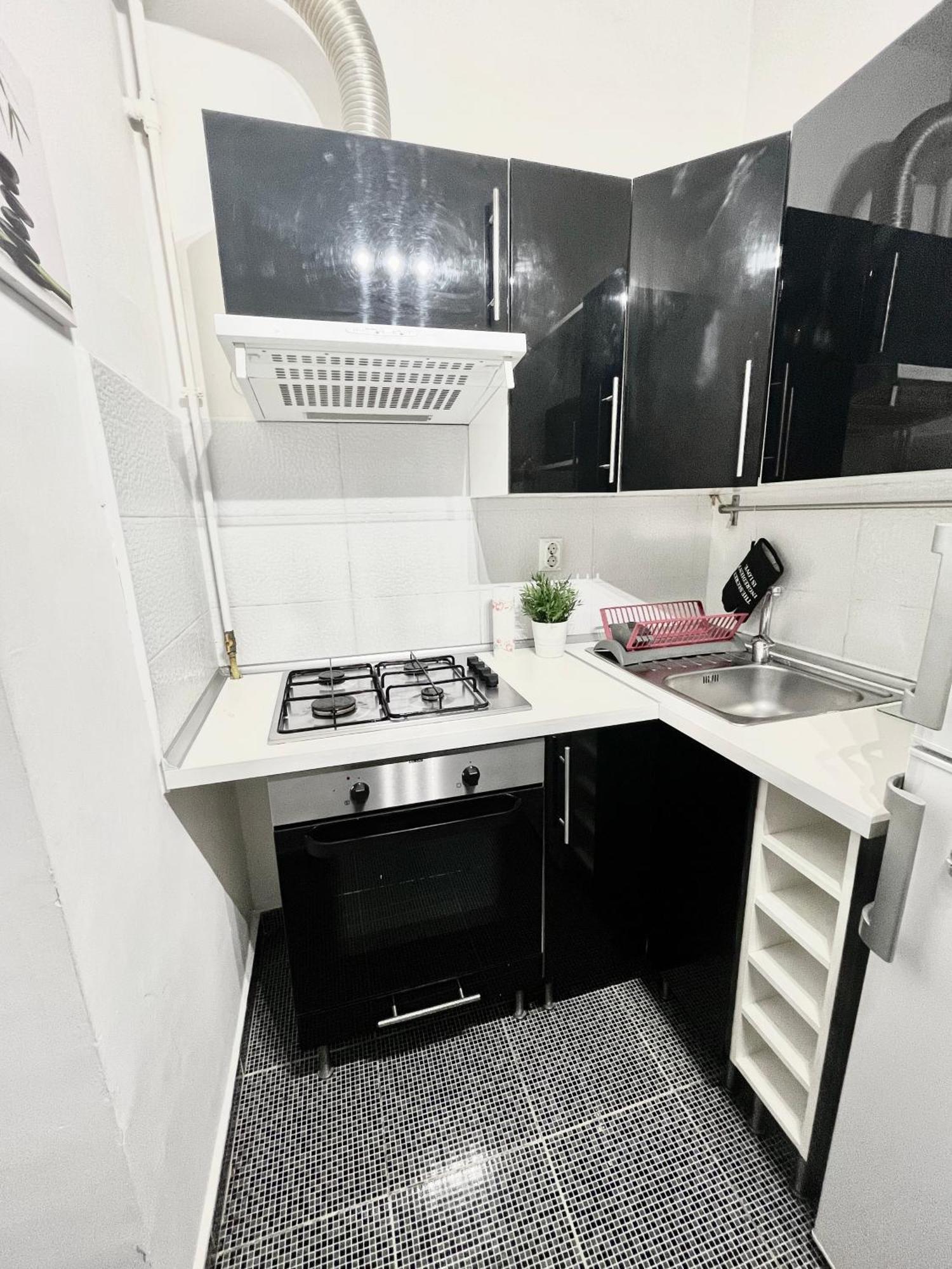 Victoriei Spacious Studio Бухарест Екстер'єр фото